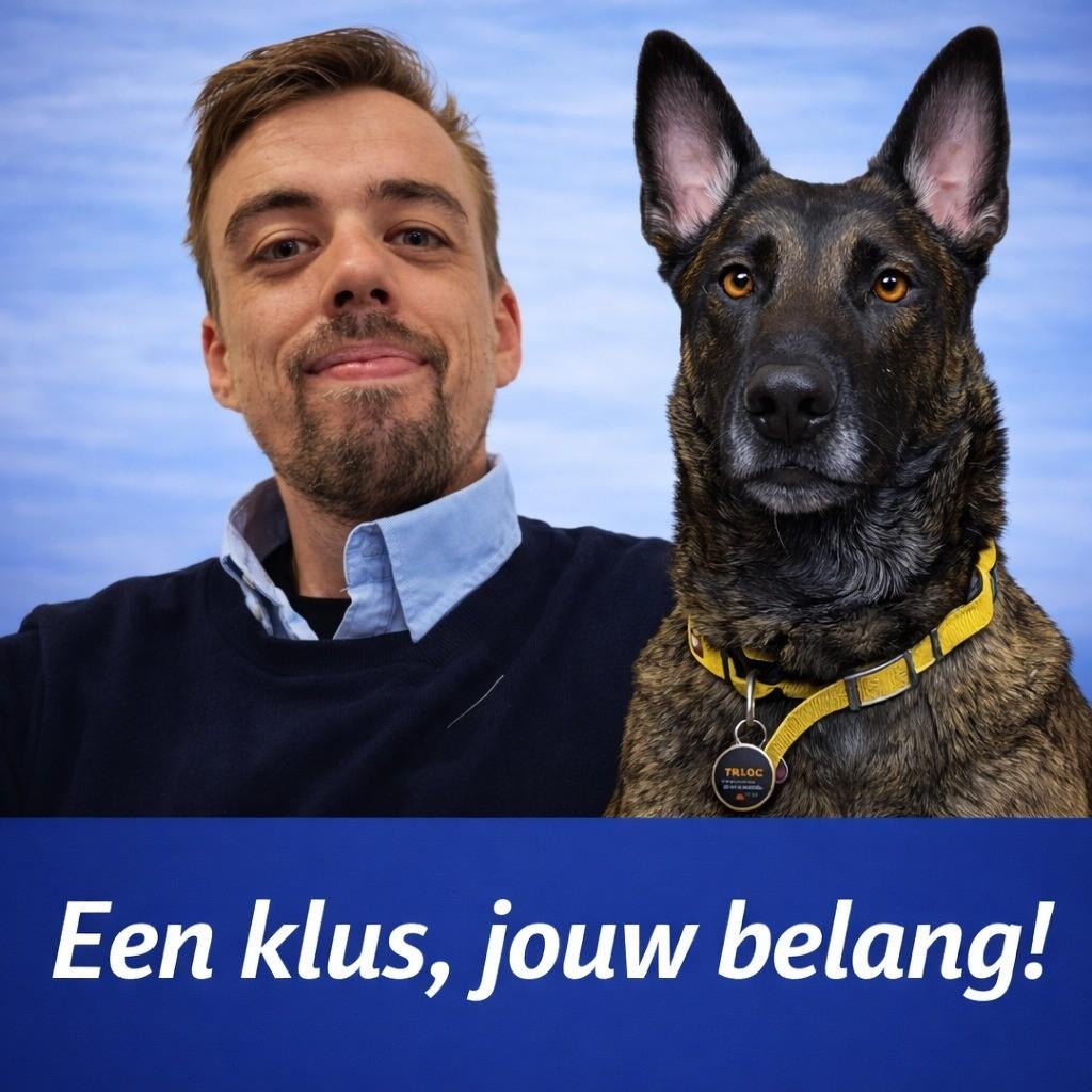Hondenuitlaatservice, Ophalen, Nieuw