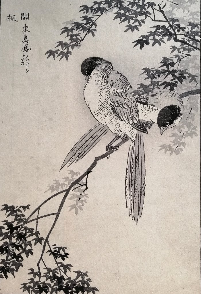 Japanse houtsnede van Kono Bairei - Groot - Vogel no. 2, Antiek en Kunst, 1800 - 1899, Ophalen of Verzenden, Flora en Fauna, Houtsnede