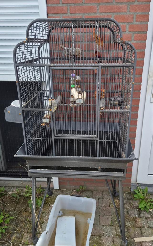 Vogel kooi, Ophalen, Metaal, Vogelkooi