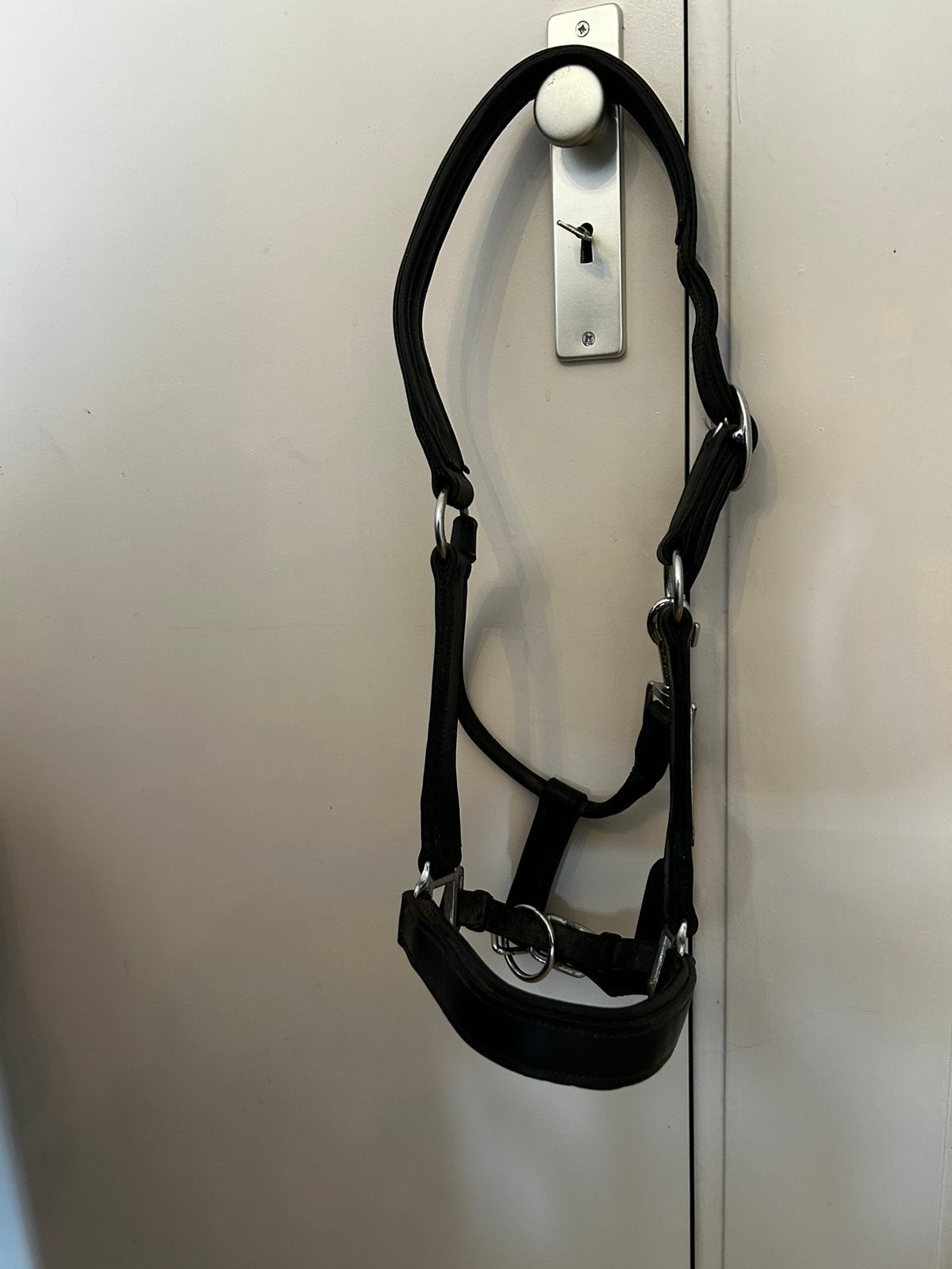 Halster full leer zwart zilver, Dieren en Toebehoren, Paarden en Pony's | Hoofdstellen en Tuigage, Zilver, Ophalen of Verzenden