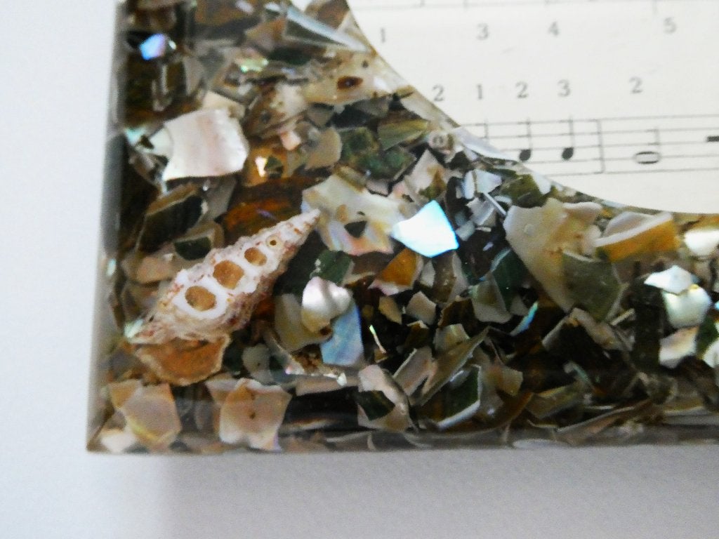 Een fotolijst met schelpen ingesloten in kunsthars lijst, Ophalen of Verzenden