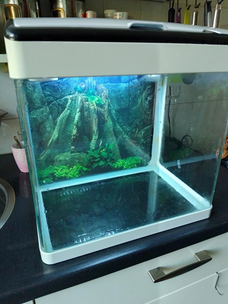 Aquarium, Ophalen, Leeg aquarium