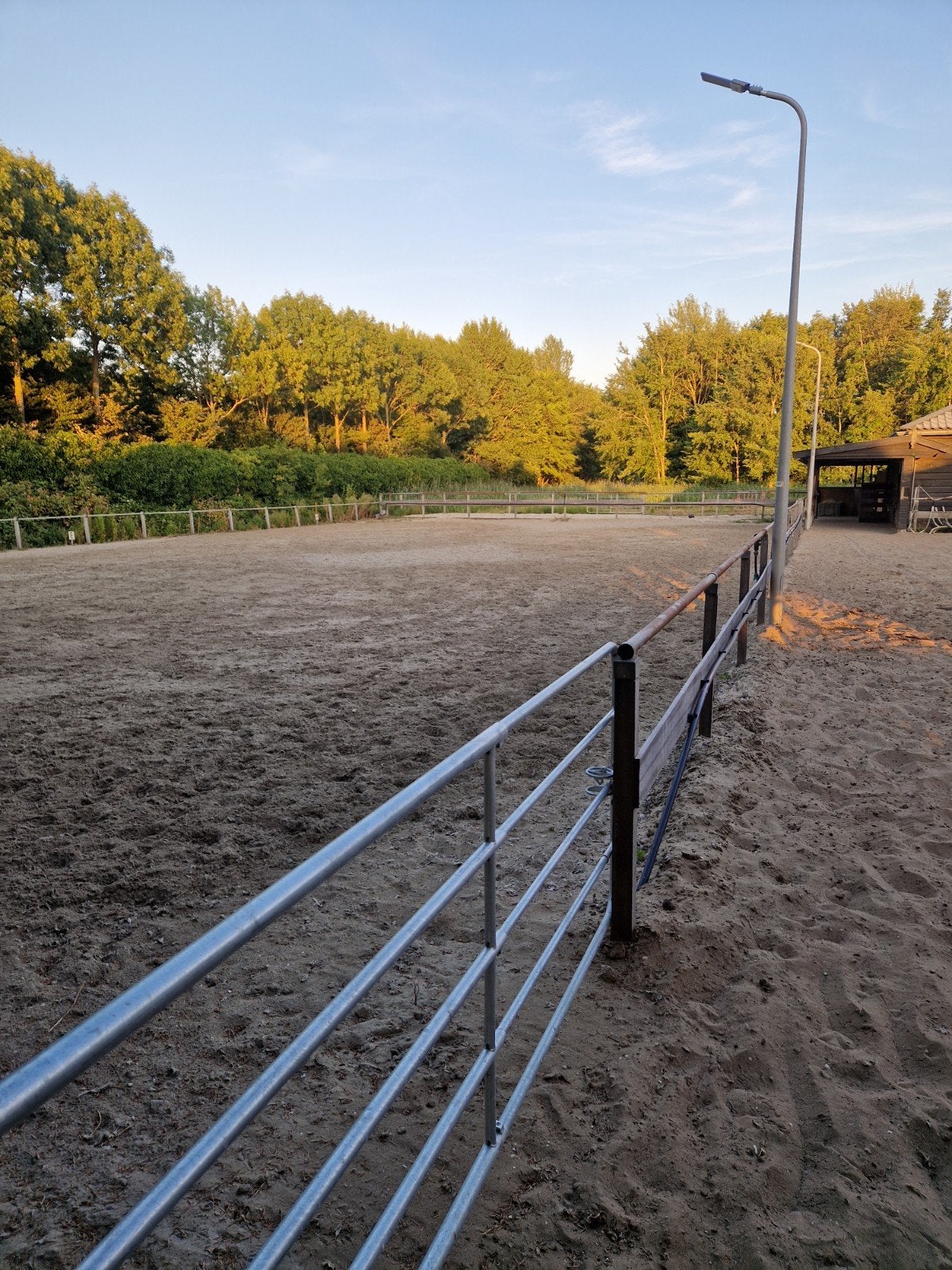Box vrij op pensionstal Nieuw Vennep, Dieren en Toebehoren