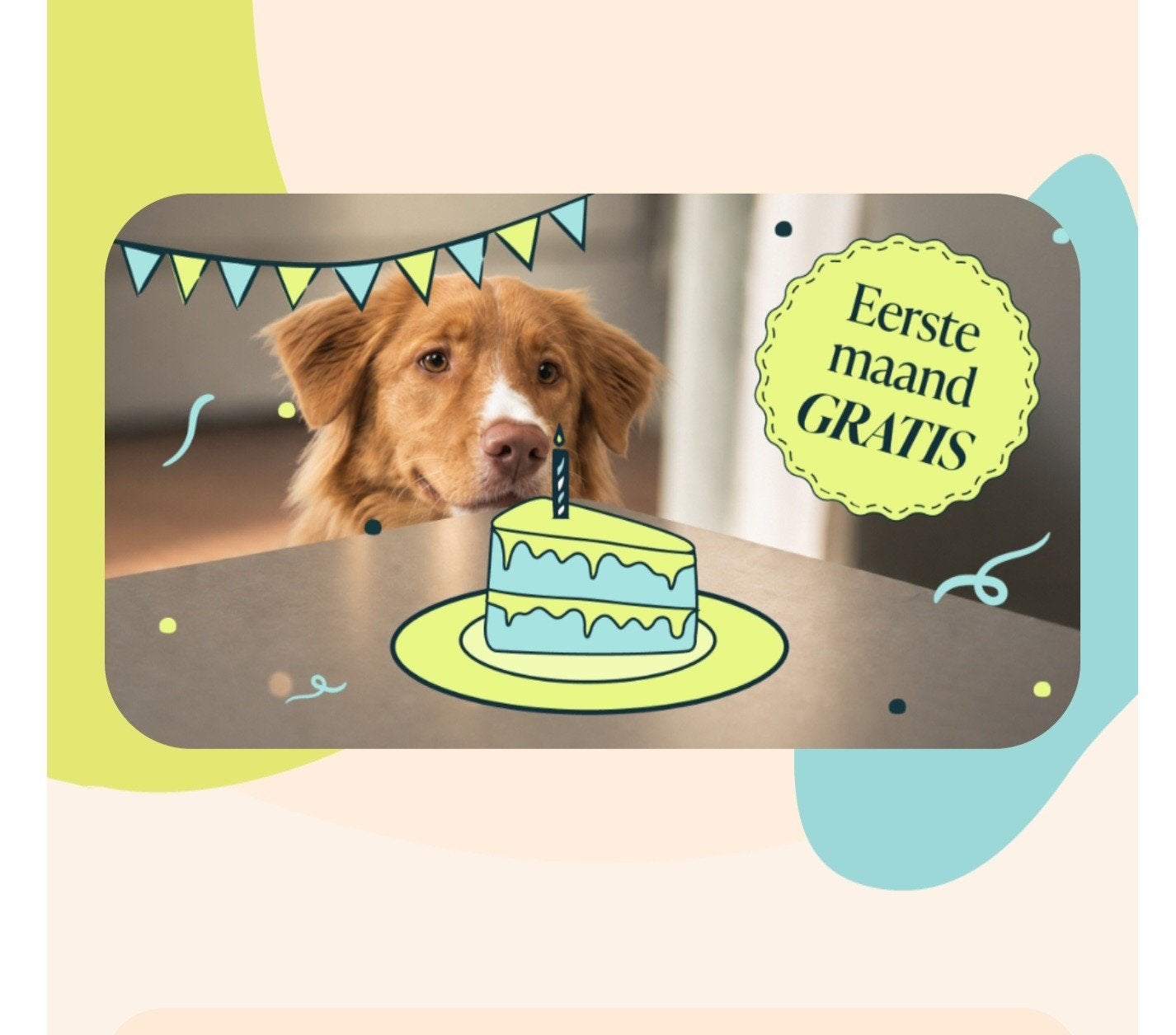figo huisdierverzekering hond kat, Ophalen, Hond