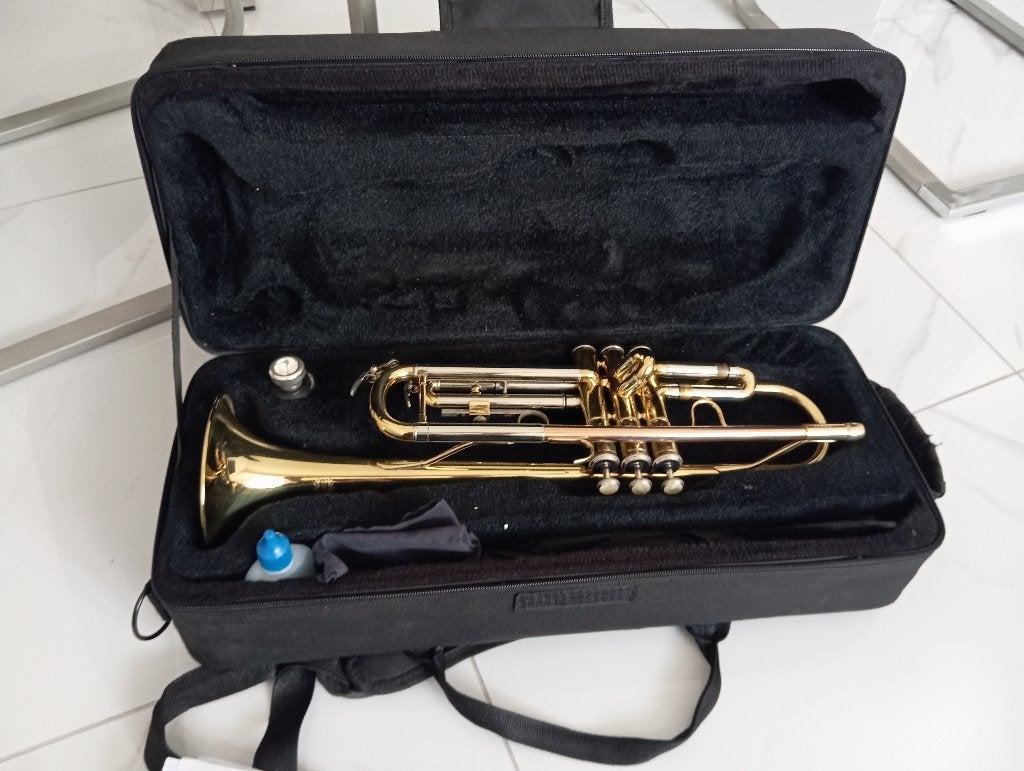 Trompet blaasinstrument, Ophalen of Verzenden, Zo goed als nieuw, Overige typen, Met koffer