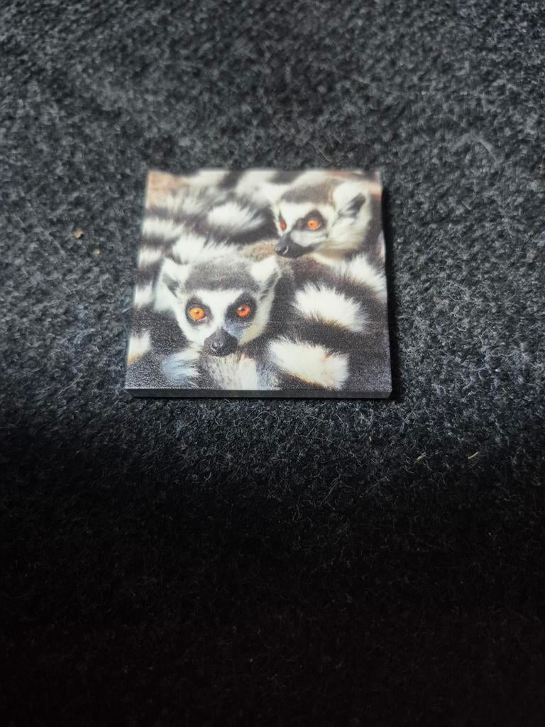 Ringstaartmaki magneet, Ophalen of Verzenden, Beeldje of Figuurtje