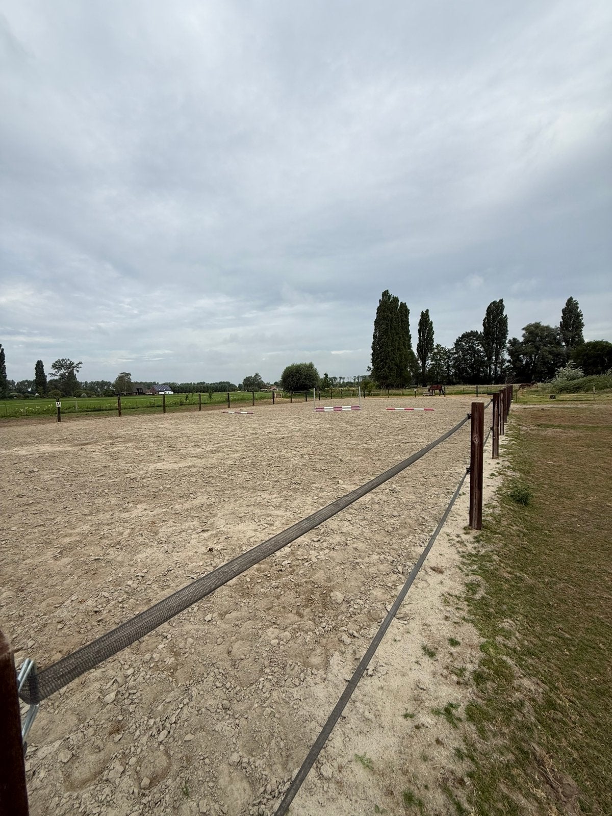 Pensionstal aangeboden, Dieren en Toebehoren, Stalling en Weidegang, Weidegang, 2 of 3 paarden of pony's