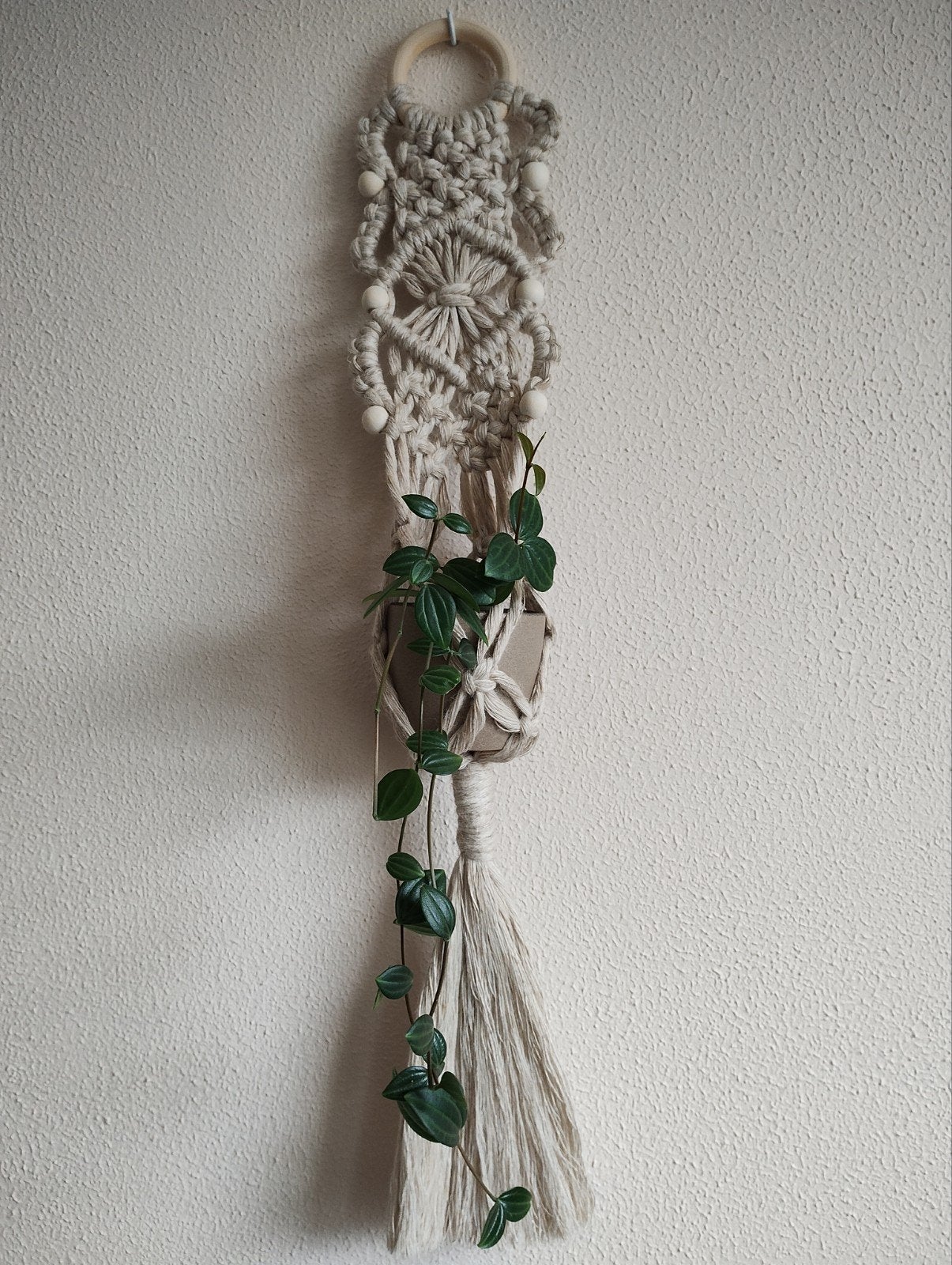Handgemaakte macramé plantenhanger. Sisters Forever., Ophalen of Verzenden, Nieuw