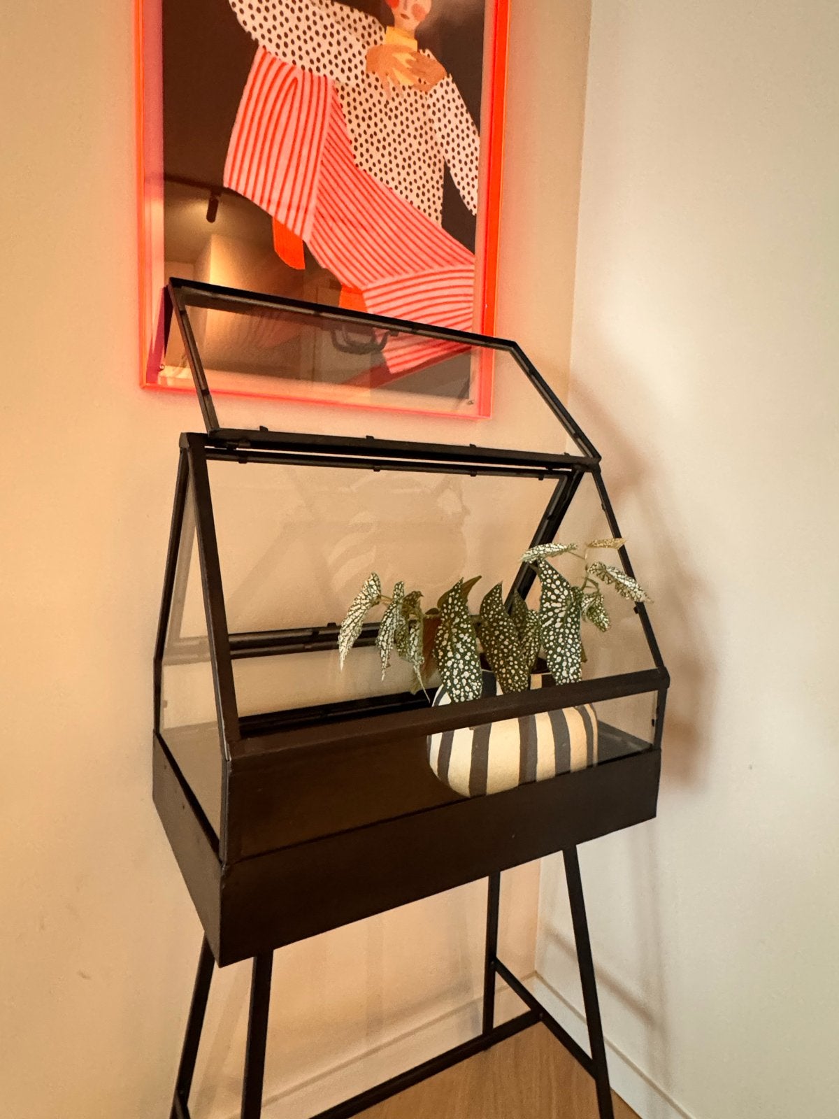 Stijlvolle Kweekkas op Standaard - Perfect voor Planten, Ophalen, Gebruikt, Kweekkast