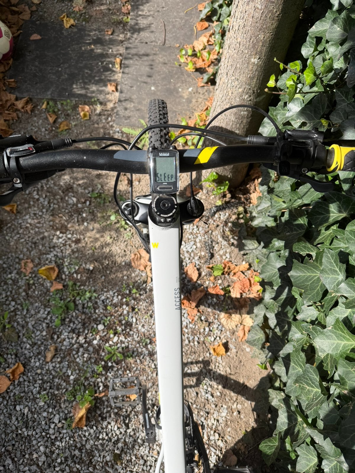 Foto 6 van Dames mountainbike Cube 17 inch