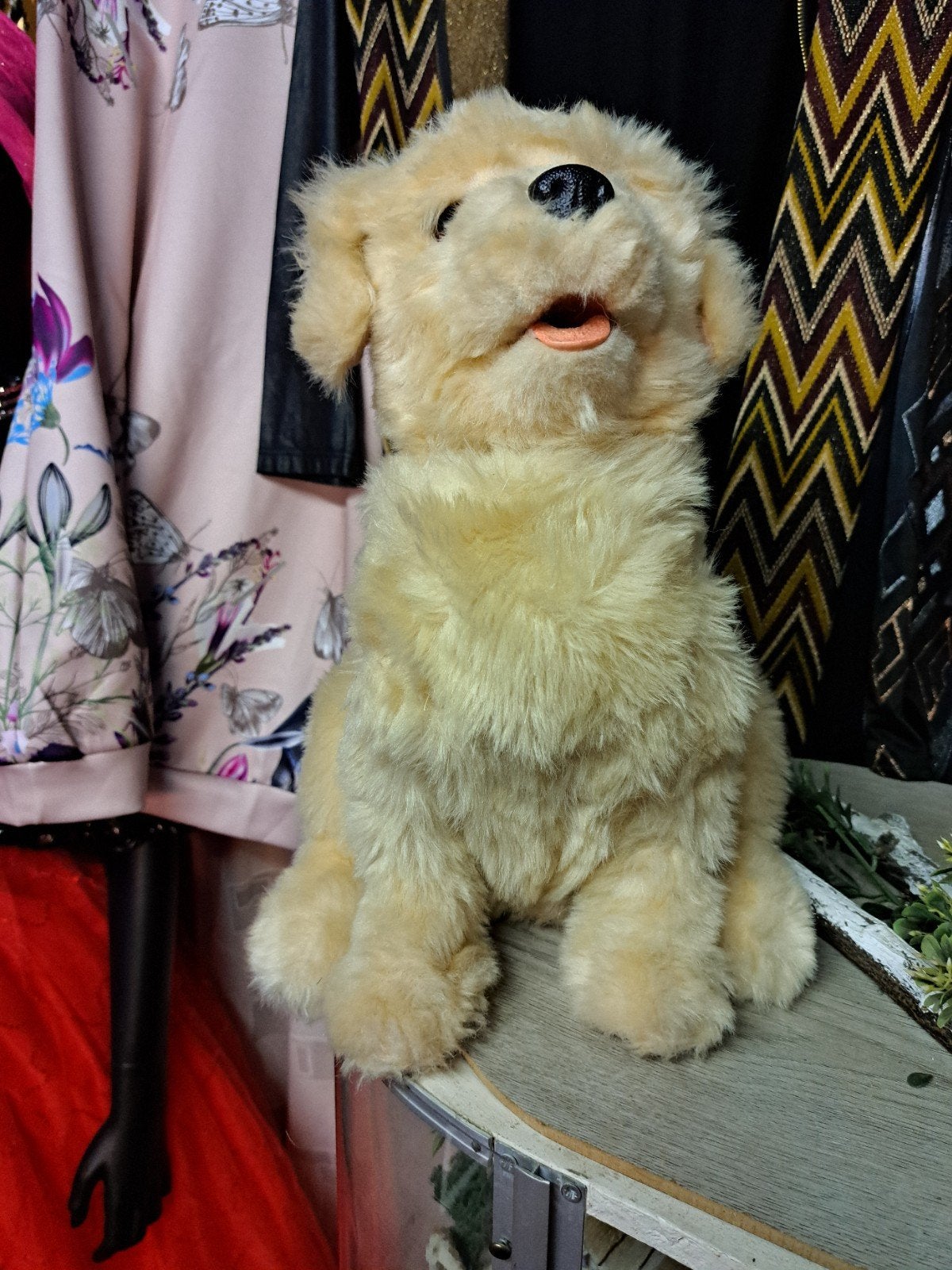 Schattige pluche hond - Zo goed als nieuw, Ophalen, Hond, Zo goed als nieuw, Middelgroot (20 tot 80 cm)