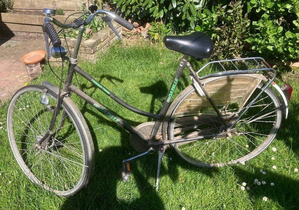 Damesfiets Gazelle Trimmer Trend, Ophalen, Gebruikt, Versnellingen, 50 tot 53 cm