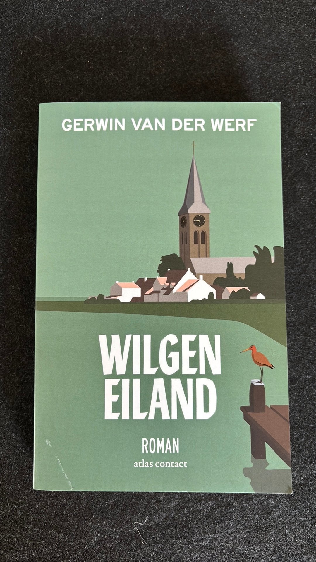 Gerwin van der Werf - Wilgeneiland, Ophalen of Verzenden, Zo goed als nieuw, Gerwin van der Werf