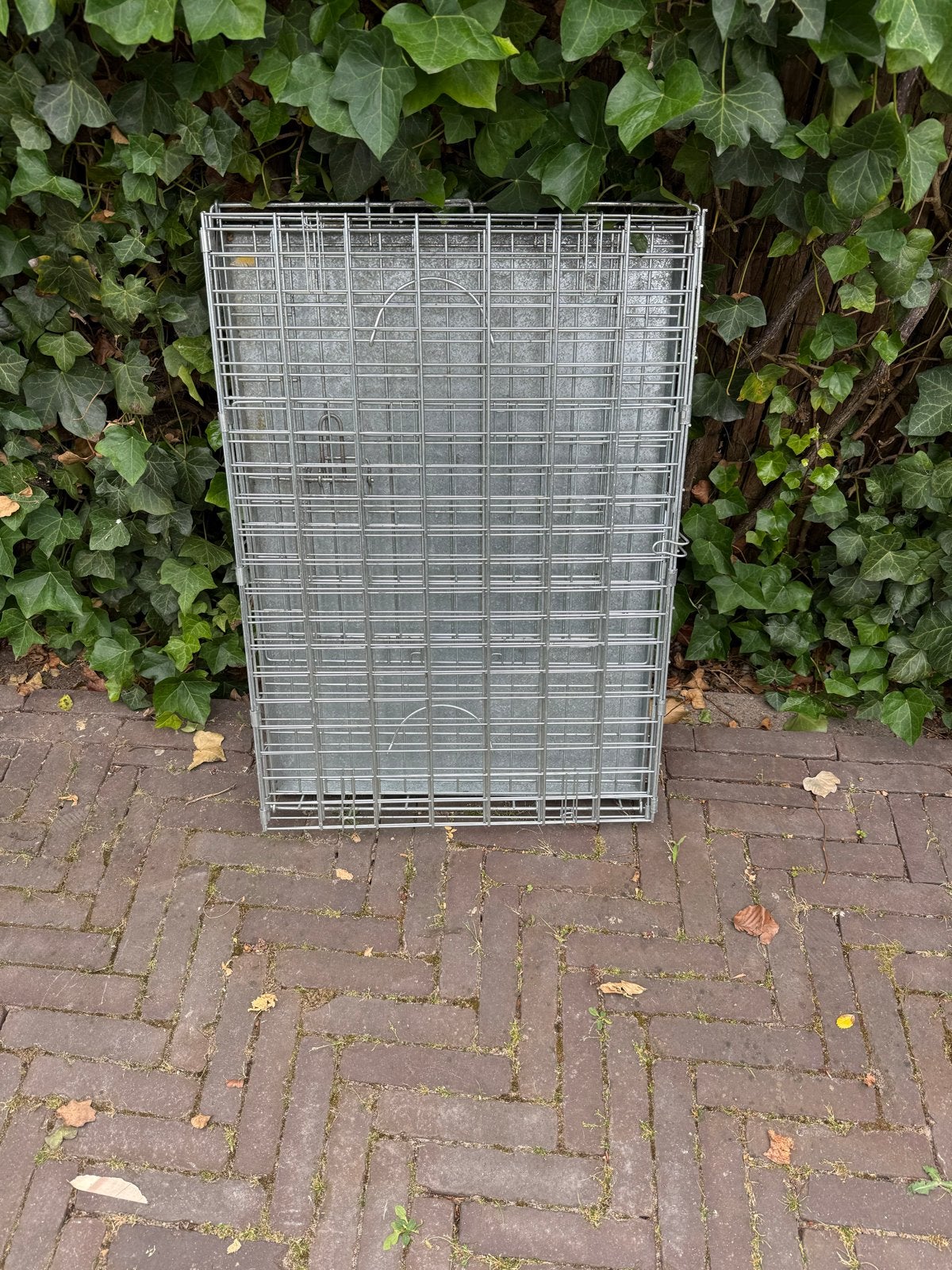 Bench voor middelgrote hond, Dieren en Toebehoren, Ophalen, Gebruikt