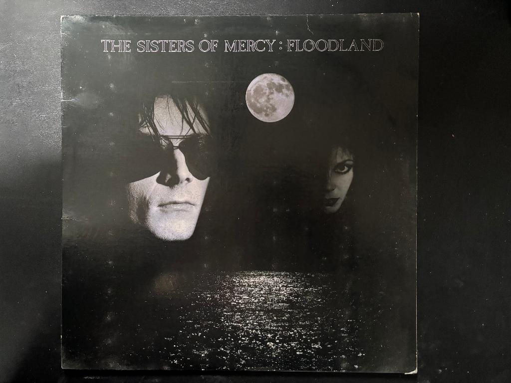 LP Sisters of Mercy: Floodland, Gebruikt, 1980 - 1989, Ophalen of Verzenden, 12 inch