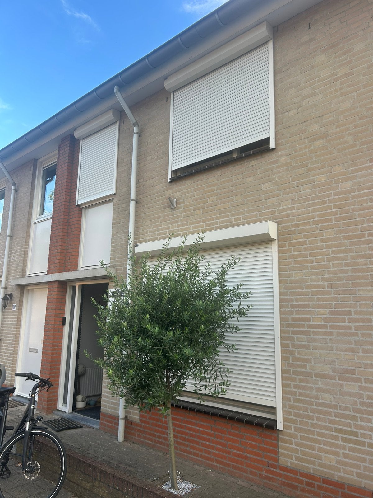 Olijfboom te koop, Ophalen