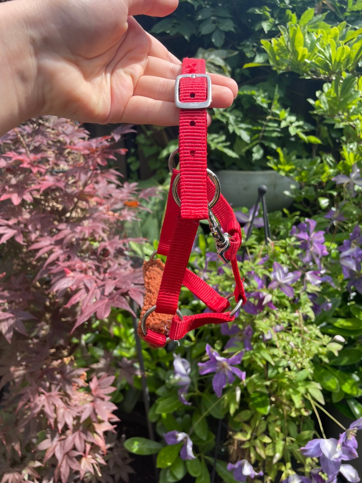Rood halster met bruin bontje (hobby horse), Ophalen of Verzenden, Nieuw, Overige soorten