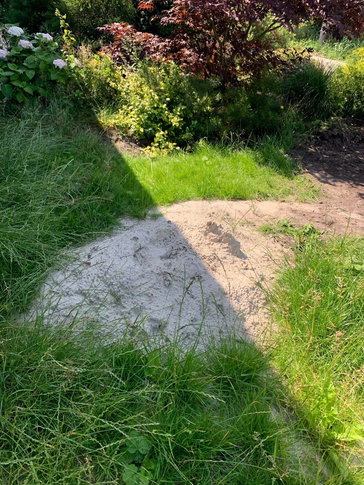 Wit zand gratis af te halen, Ophalen, Gebruikt, Ophoogzand