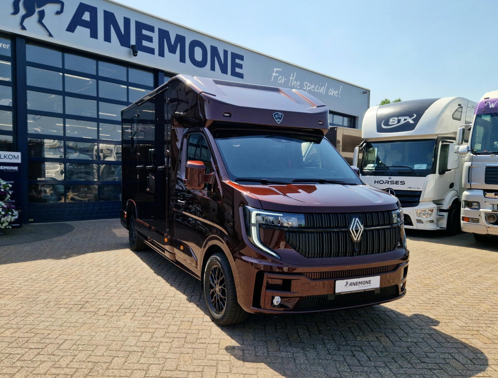 Renault Master MTM S3 EXCLUSIVE ! Nieuw model paardenwagen v, Nieuw, Overige typen