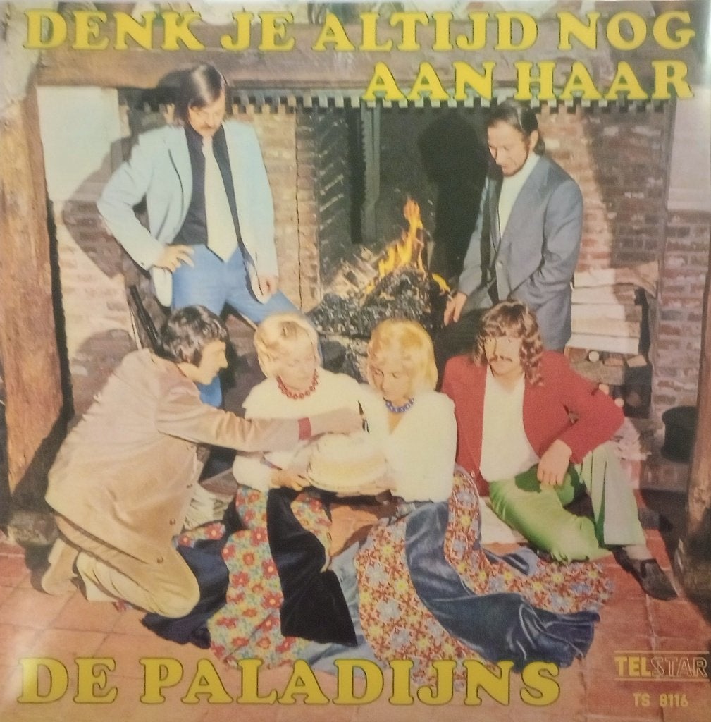 De Paladijns - denk je altijd nog aan haar, Cd's en Dvd's, Vinyl | Nederlandstalig, LP, Ophalen of Verzenden, Levenslied of Smartlap