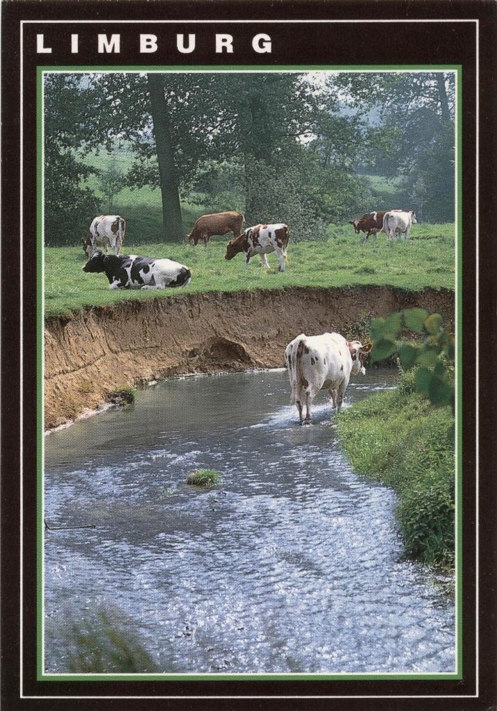 Limburg, Verzenden, 1940 tot 1960, Ongelopen, Limburg