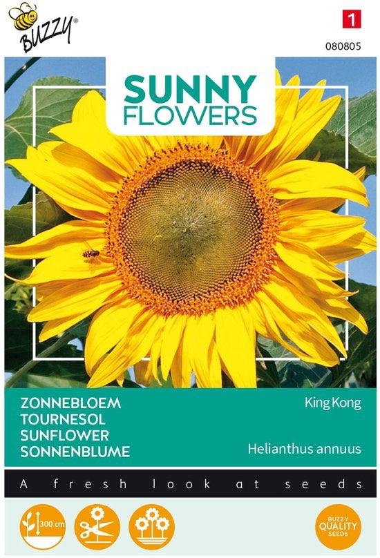 Zonnebloem zaden - Henri Wilded - Zeer hoog en extra groot