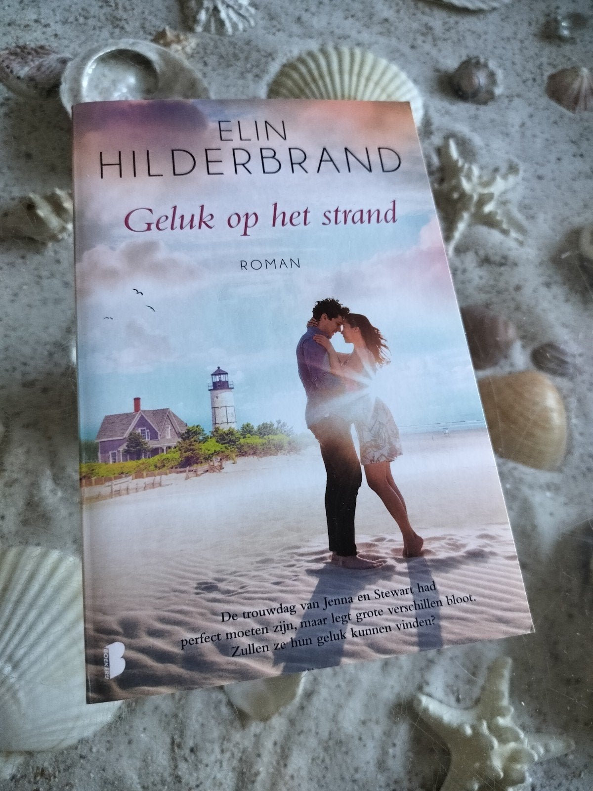Elin Hilderbrand - Geluk op het strand, Boeken, Ophalen of Verzenden, Zo goed als nieuw, Elin Hilderbrand