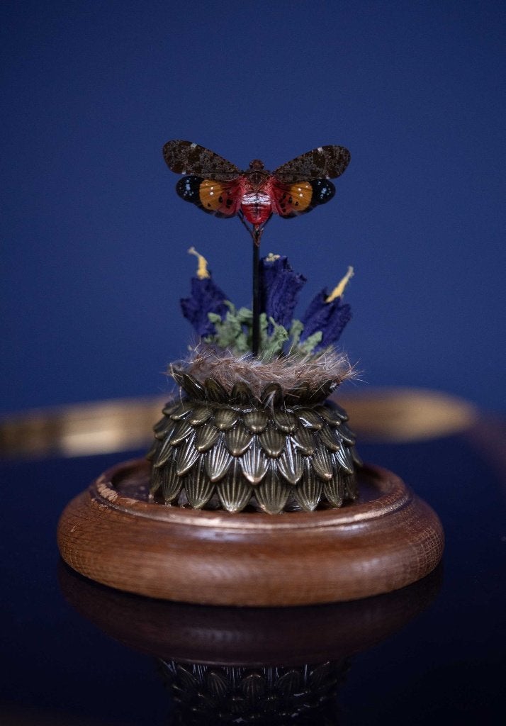 Stolp met sprinkhaan op lotus, Ophalen of Verzenden, Nieuw, Insect, Opgezet dier