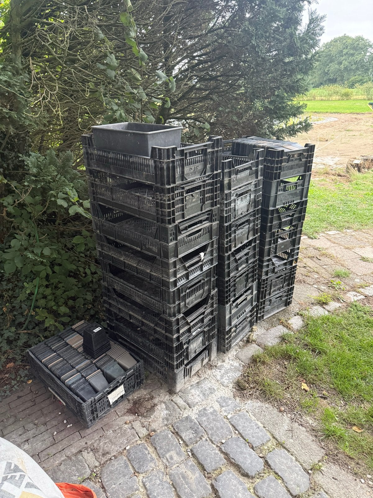 Grote partij kratjes, veilingskratjes, Ophalen, Gebruikt, Minder dan 40 cm, Minder dan 35 cm