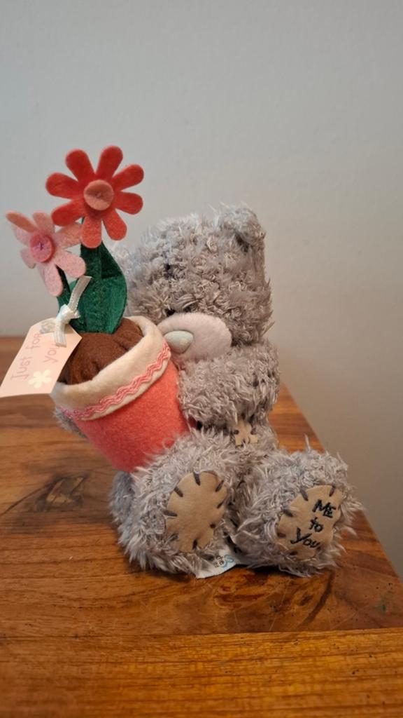Me to You Tatty Teddy met bloempotje, Overige merken, Overige karakters, Beer, Grijs