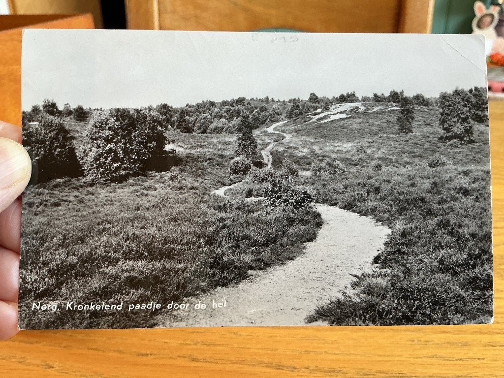 Norg, Ophalen of Verzenden, 1960 tot 1980, Gelopen, Drenthe