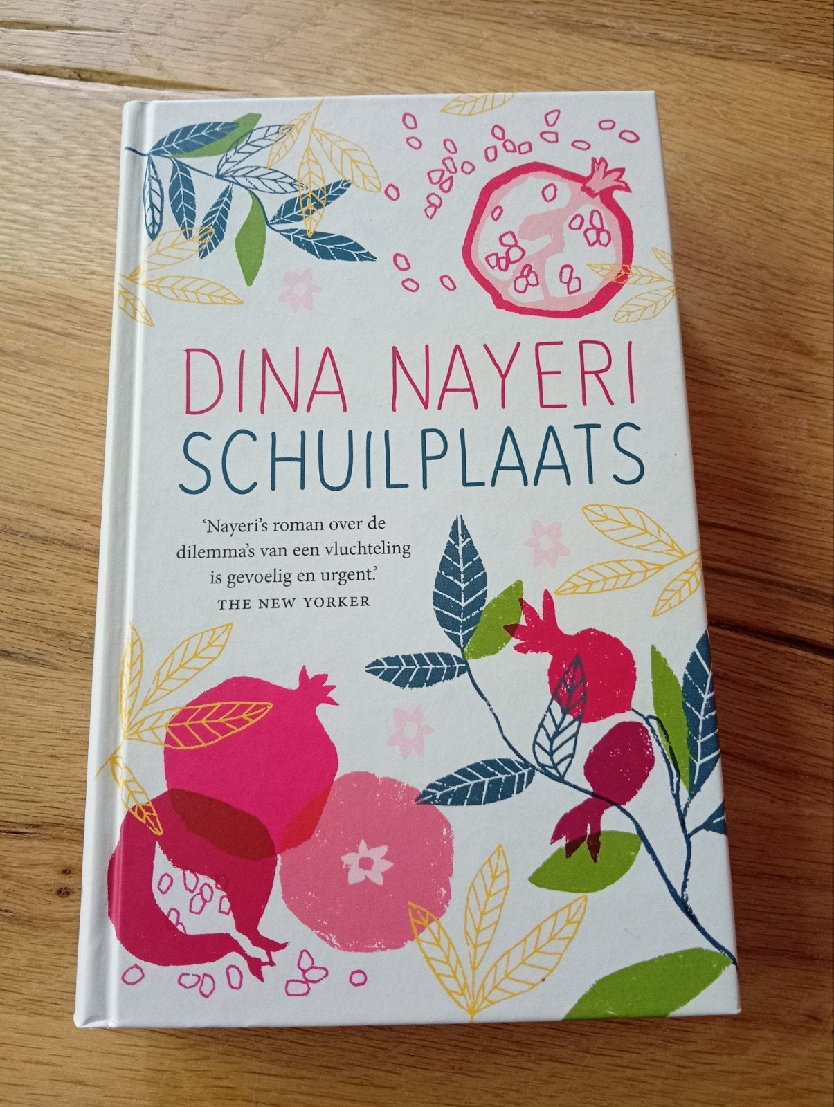 Dina Nayeri - Schuilplaats (roman), Boeken, Zo goed als nieuw, Nederland, Dina Nayeri, Ophalen of Verzenden