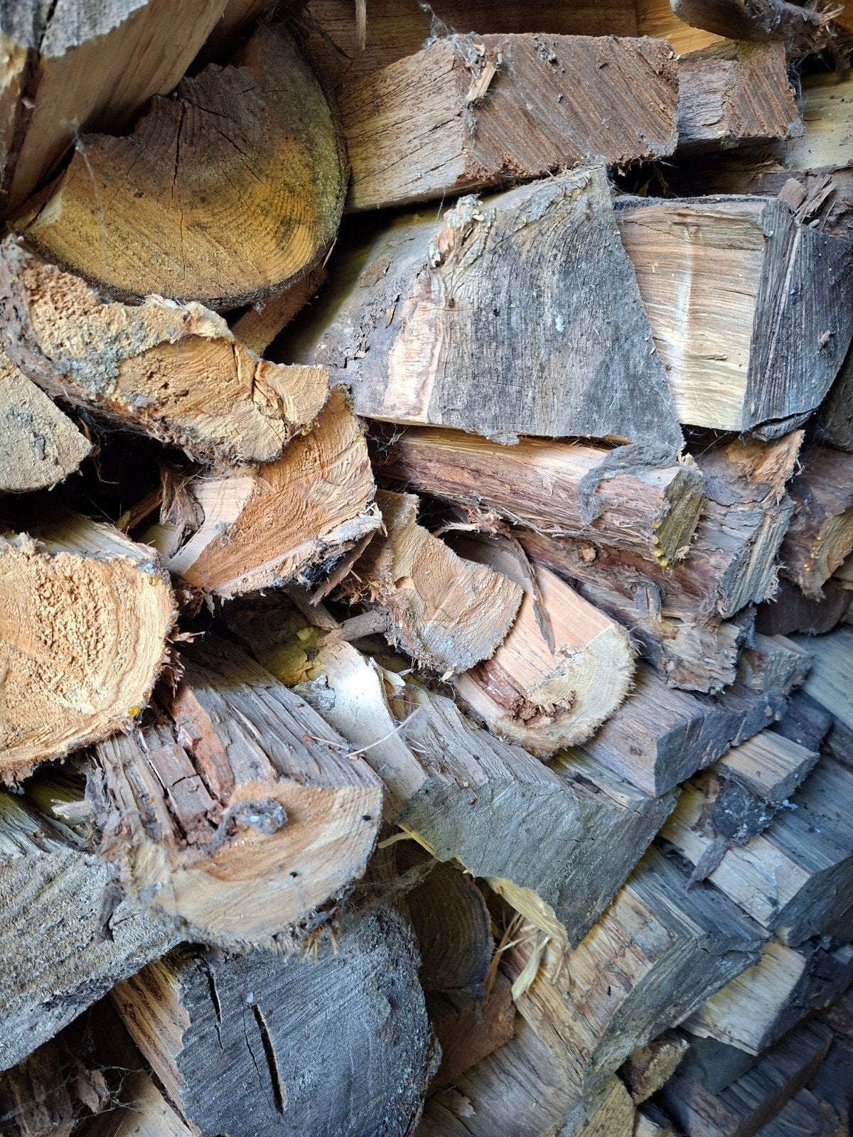 gedroogd haardhout, Tuin en Terras, Minder dan 3 m³, Ophalen of Verzenden