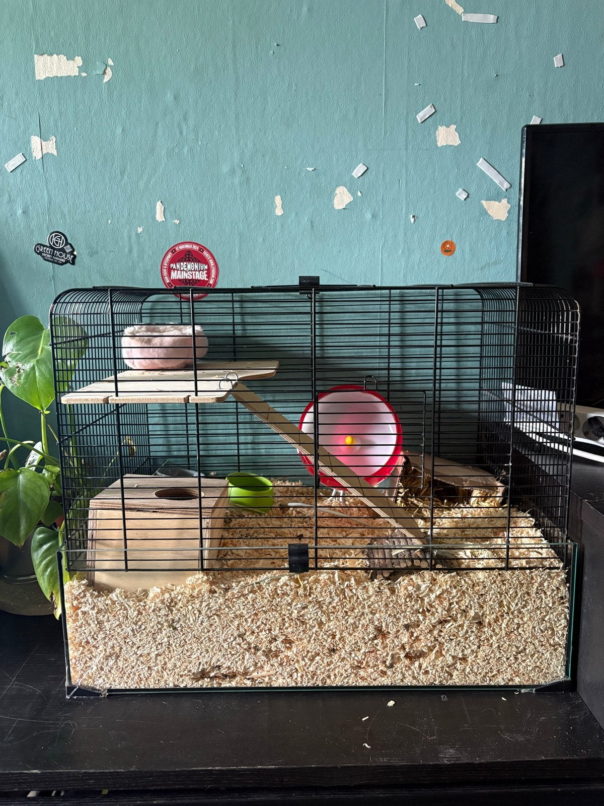 Hamster hok, Dieren en Toebehoren, Minder dan 75 cm, Ophalen, Minder dan 60 cm, Hok