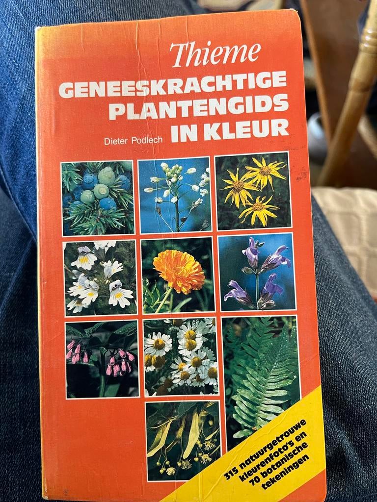 Thieme Geneeskrachtige Plantengids in Kleur - Dieter Podlech, Boeken, Ophalen of Verzenden, Zo goed als nieuw, Bloemen, Planten en Bomen
