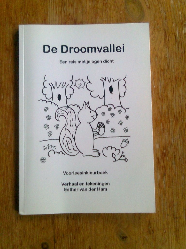 De Droomvallei, een reis met je ogen dicht, Boeken, Ophalen of Verzenden, Zo goed als nieuw, Fictie algemeen