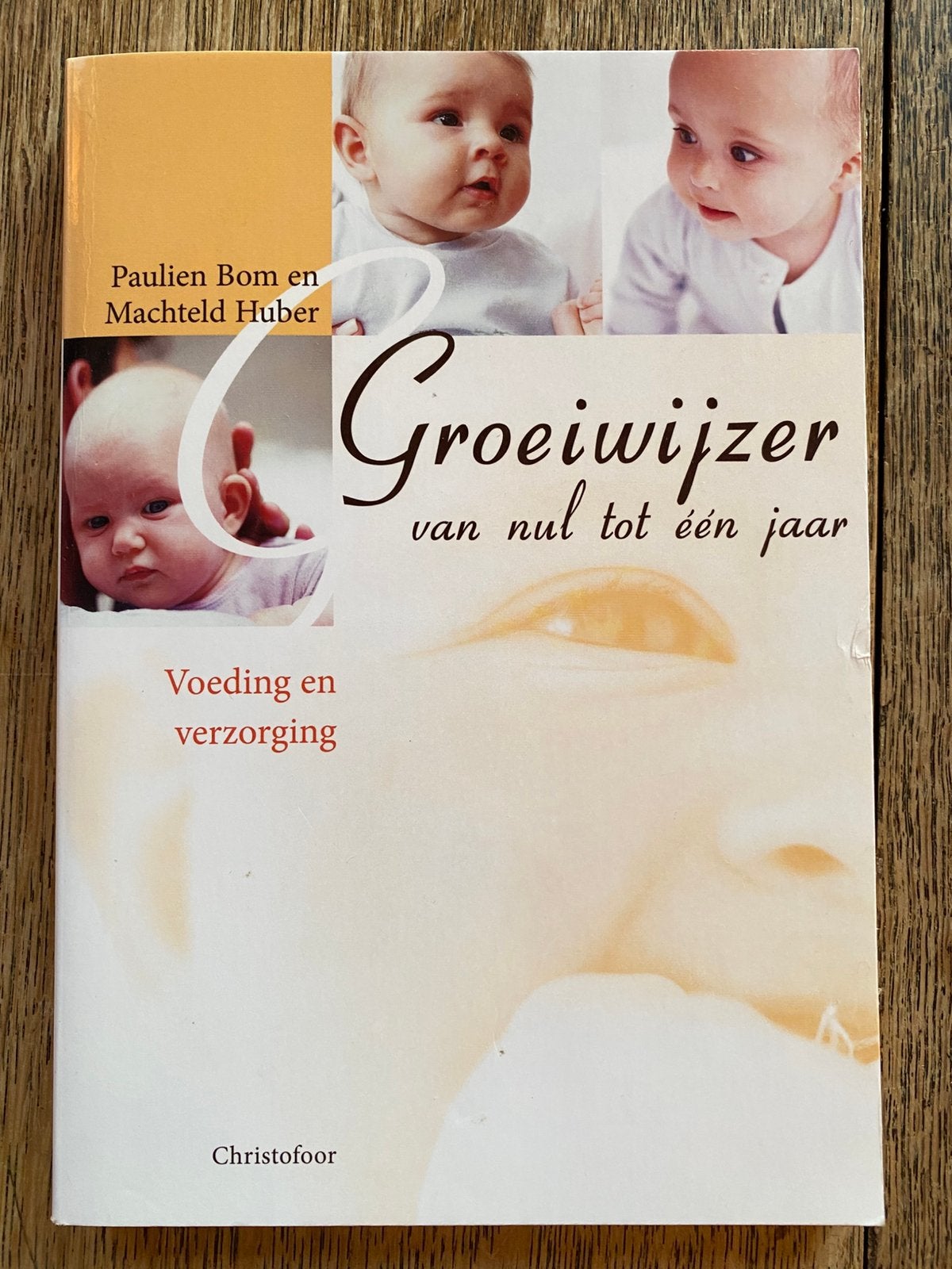 Groeiwijzer, Paulien Bom en Machteld Huber, Ophalen of Verzenden, Zo goed als nieuw, Zwangerschap en Bevalling