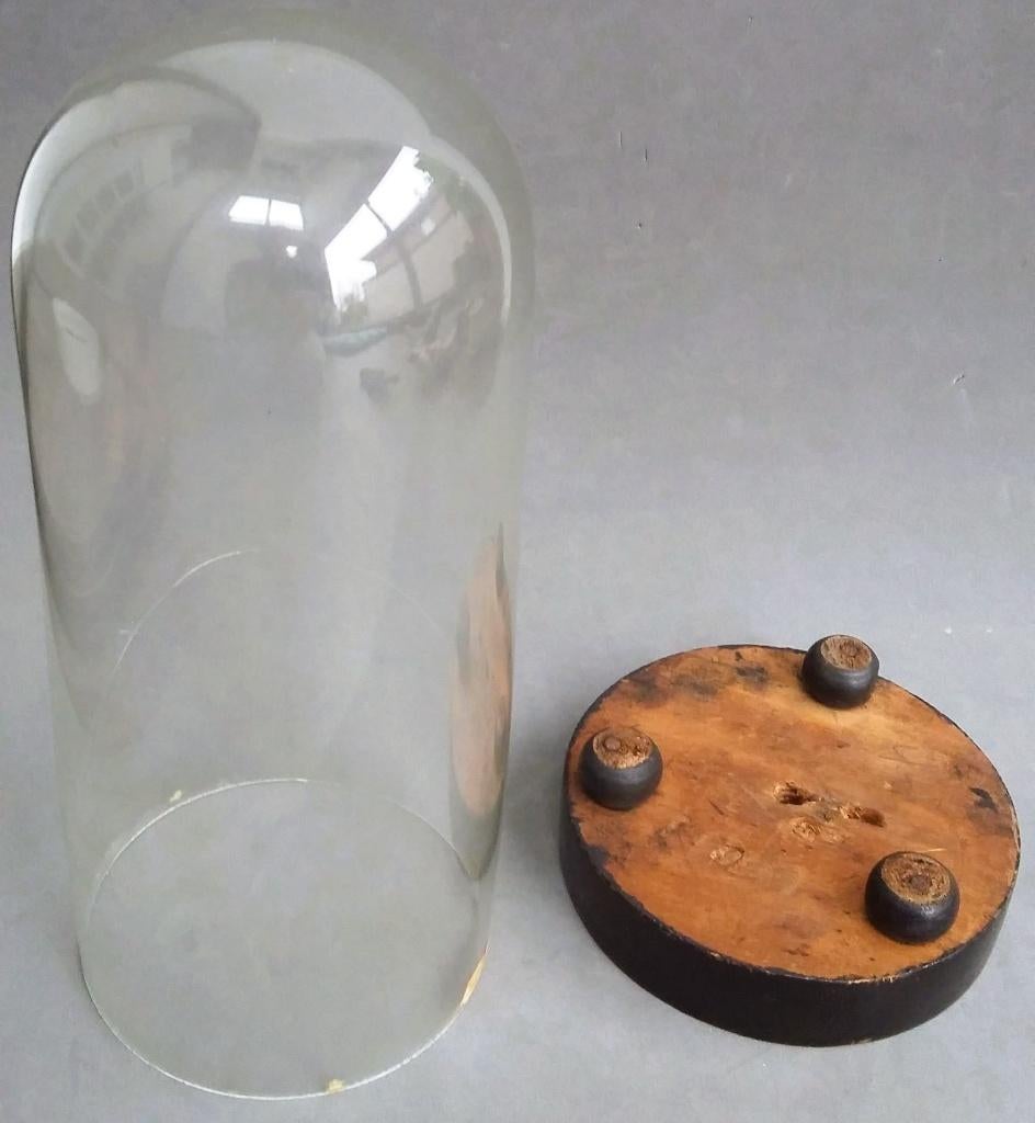 Om 1900 ZEER KLEIN Model Glazen Stolp voor Beeld Sculptuur, Ophalen of Verzenden