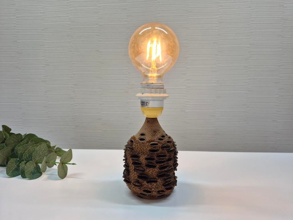Vintage tafellamp van de Australische Banksia Grandis kegel., Ophalen of Verzenden, ., ., .