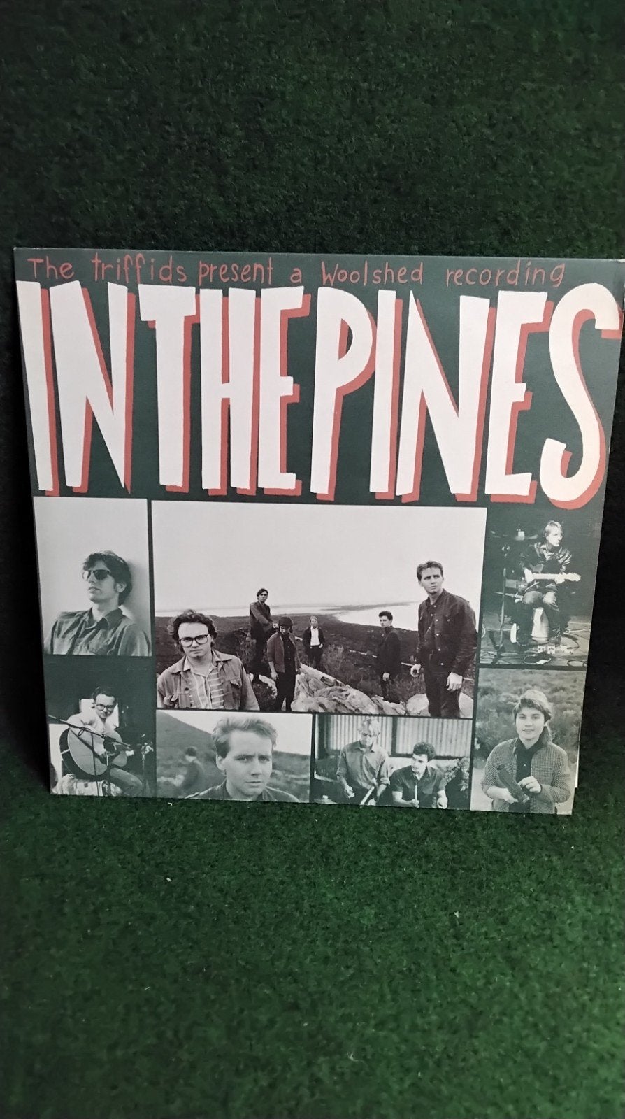 THE TRIFFIDS, Ophalen of Verzenden, LP