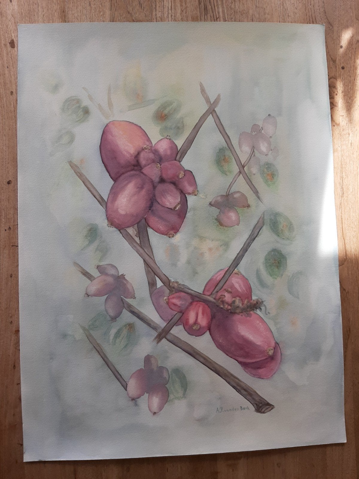 Aquarel  rode bessen vruchten, Ophalen of Verzenden, 50 tot 75 cm, Schilderij