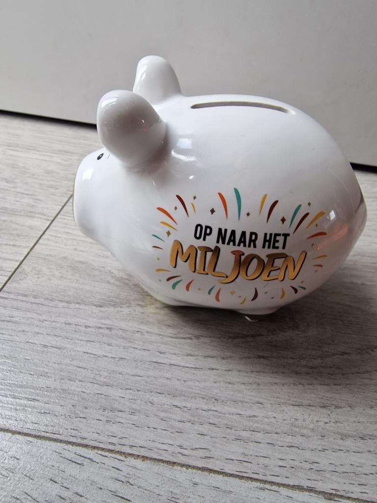 Spaarvarken op naar het miljoen spaarpot, Ophalen of Verzenden, Zo goed als nieuw, Steen, Aardewerk of Keramiek, Dier