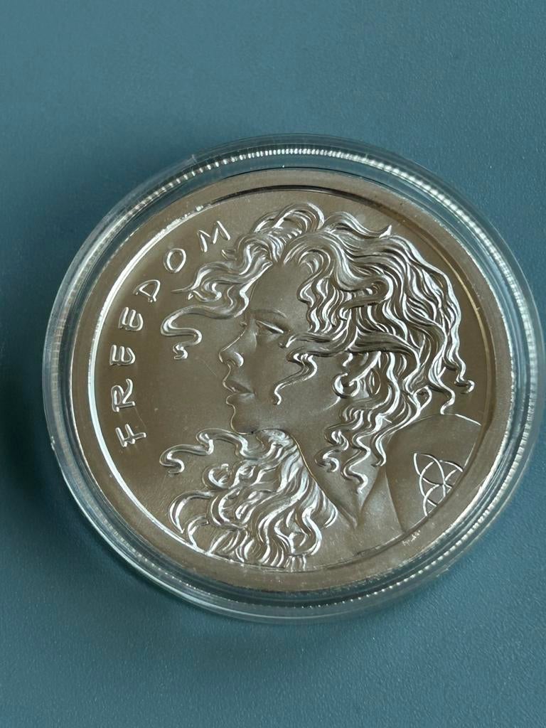 Silver bullet silver shield “freedom” 2013. 1 OZ .999 zilver, Ophalen of Verzenden, Zilver