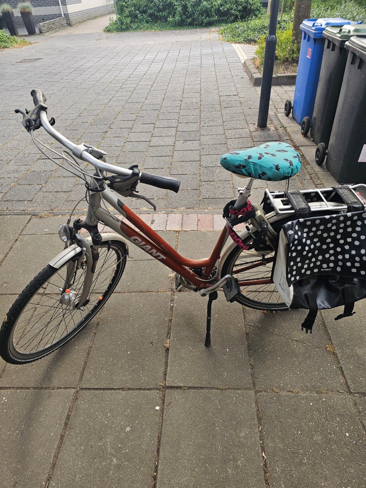 Giant Damesfiets met lage instap en fietstassen, Ophalen, Velgrem, Versnellingen, Giant
