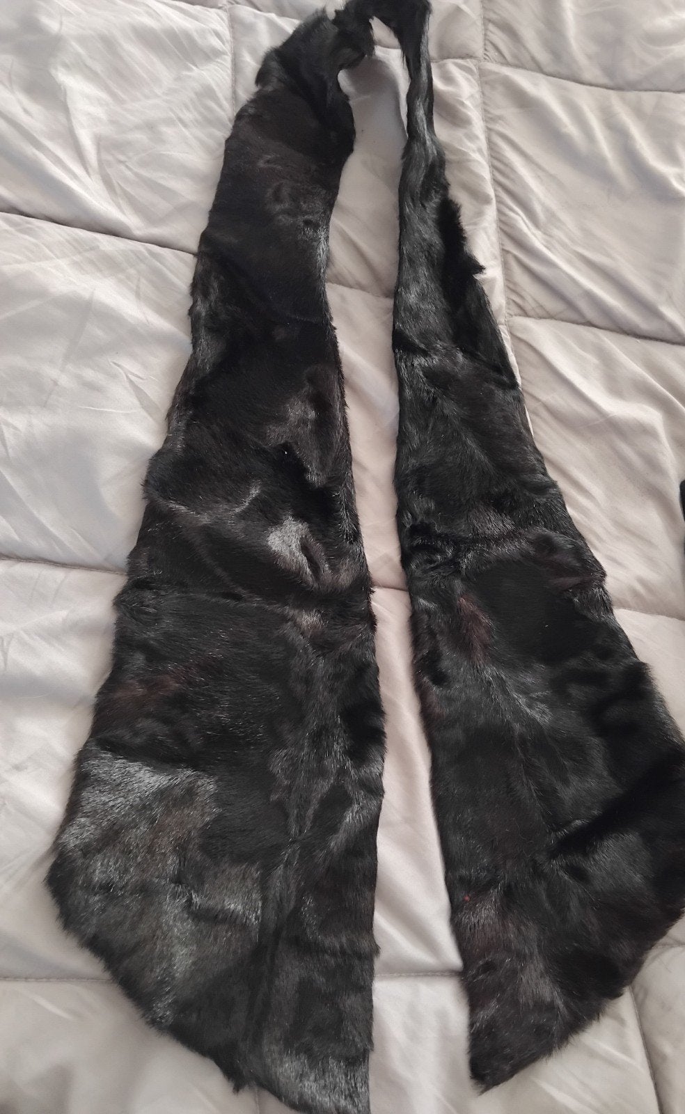 Zwarte bont sjaal - Elegant en warm, Maat 46/48 (XL) of groter, Ophalen of Verzenden, Sjaal, Onbekend