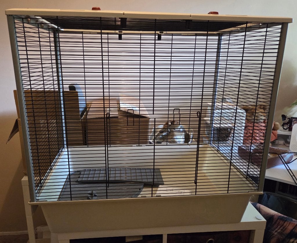 Rattenkooi, Dieren en Toebehoren, Knaagdieren en Konijnen | Hokken en Kooien, Kooi, Gebruikt, Ophalen of Verzenden, 90 cm of meer