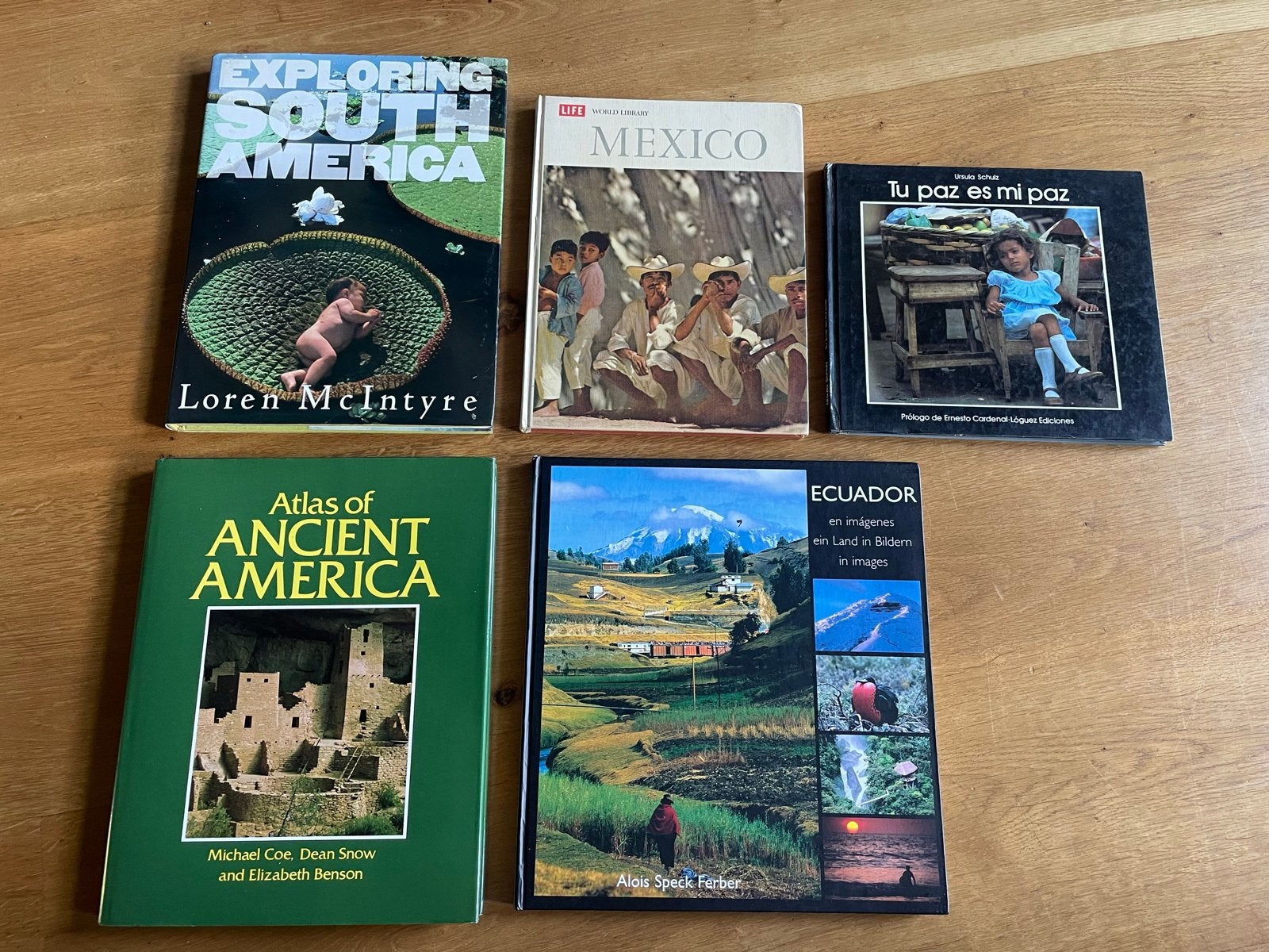 Reisboeken Zuid- en Midden-Amerika (5 stuks), Ophalen of Verzenden, Zuid-Amerika, Reisgids of -boek, Gelezen