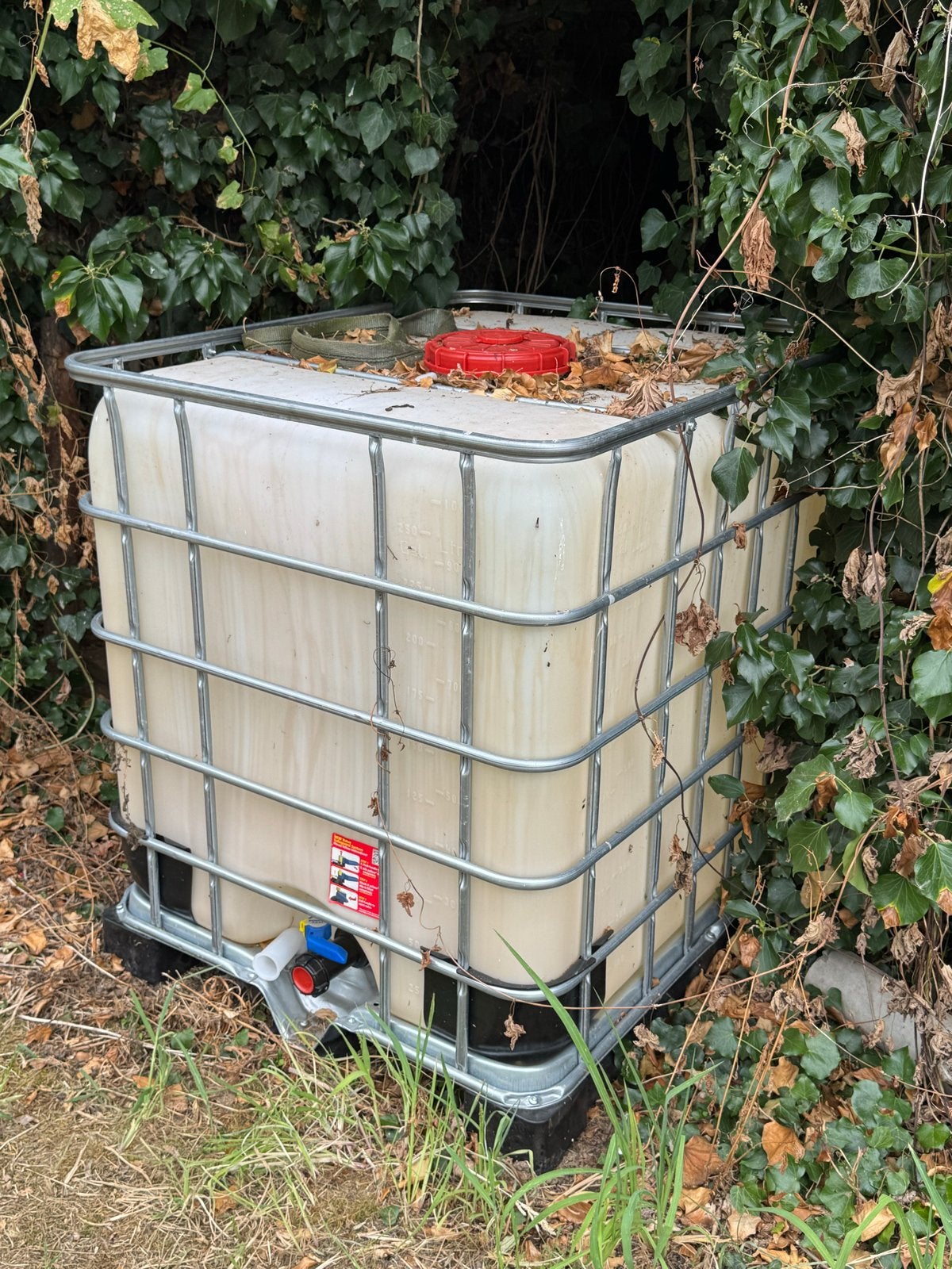 IBC Watertank 1000L met kraantje, Ophalen, Kunststof, Gebruikt, Met kraantje