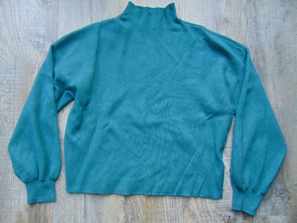 Costes trui groen maat L truitje, Kleding | Dames, Maat 42/44 (L), Ophalen of Verzenden, Zo goed als nieuw, Costes