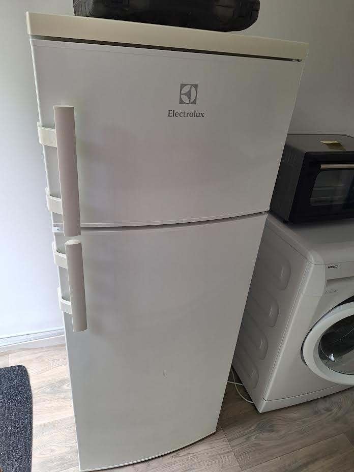 Koelkast Electrolux, Ophalen, 150 tot 200 liter, Gebruikt, Minder dan 45 cm
